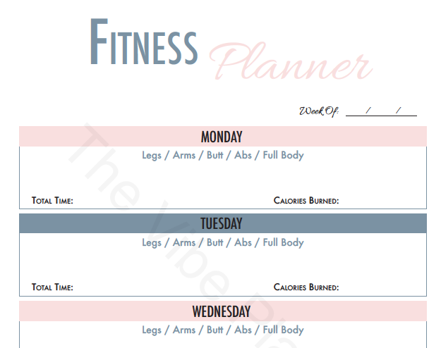 Fitness & Finance Printable Worksheet | Goodnotes Compatible - The Vibe Planner