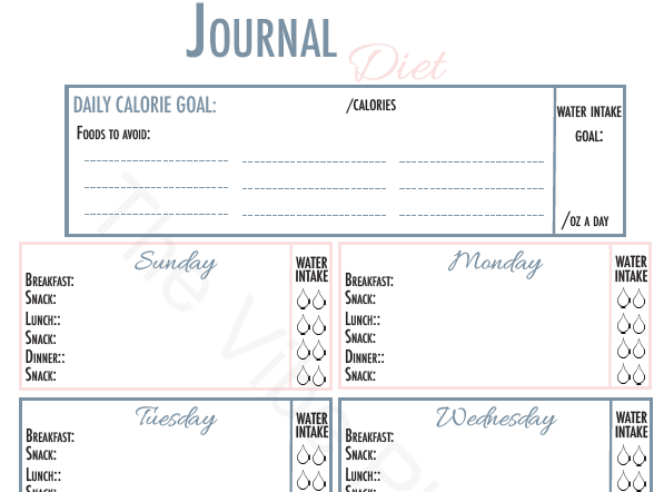 Fitness & Finance Printable Worksheet | Goodnotes Compatible - The Vibe Planner